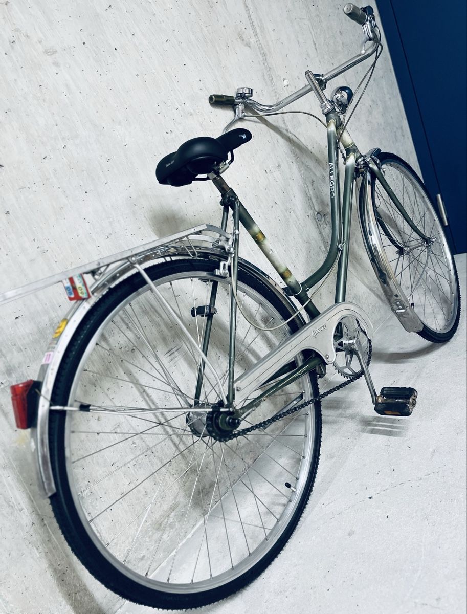 Biciclette: Allegro Damenvelo  – Usato da Zürich venduto da Bidon3011 4