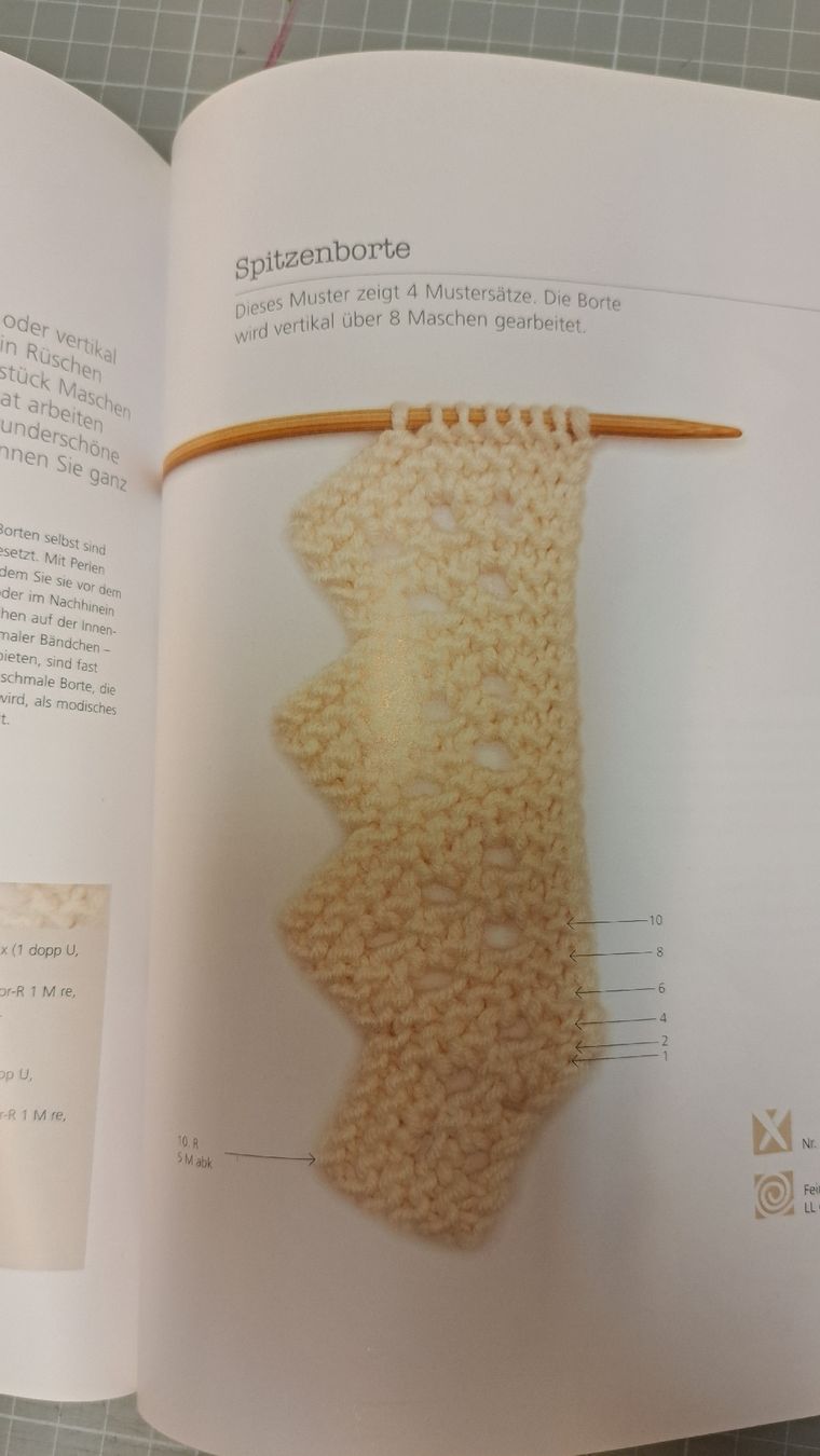 Libri: Buch Das grosse Buch des Lace Strickens – Usato da Zofingen venduto da Gabe0815 5