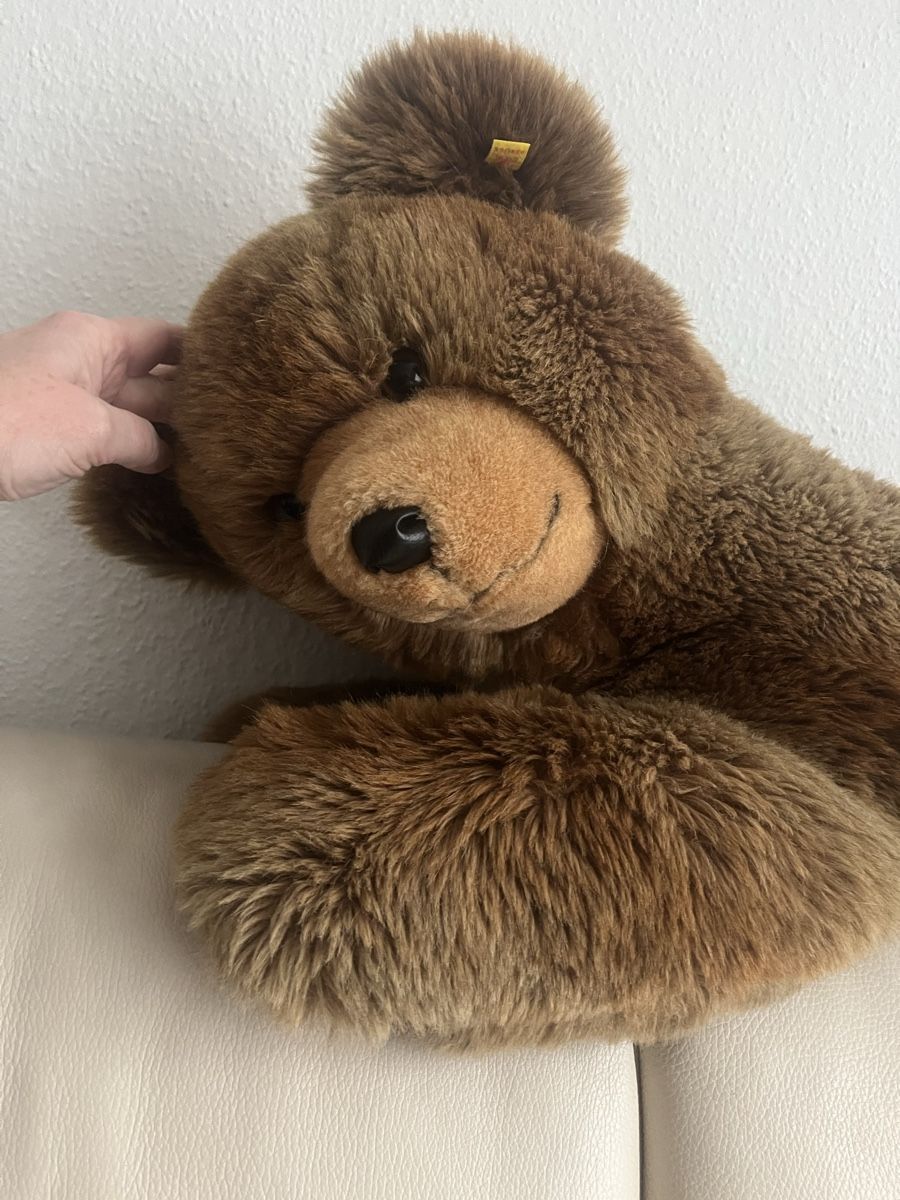 Steiff Giocattoli: Steiff Teddybär Molly – Nuovo (secondo la descrizione) da Sursee venduto da Tinkerbell99 1