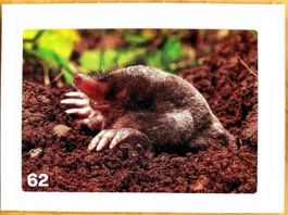Migros Nature Detectives - Bild Nr. 62