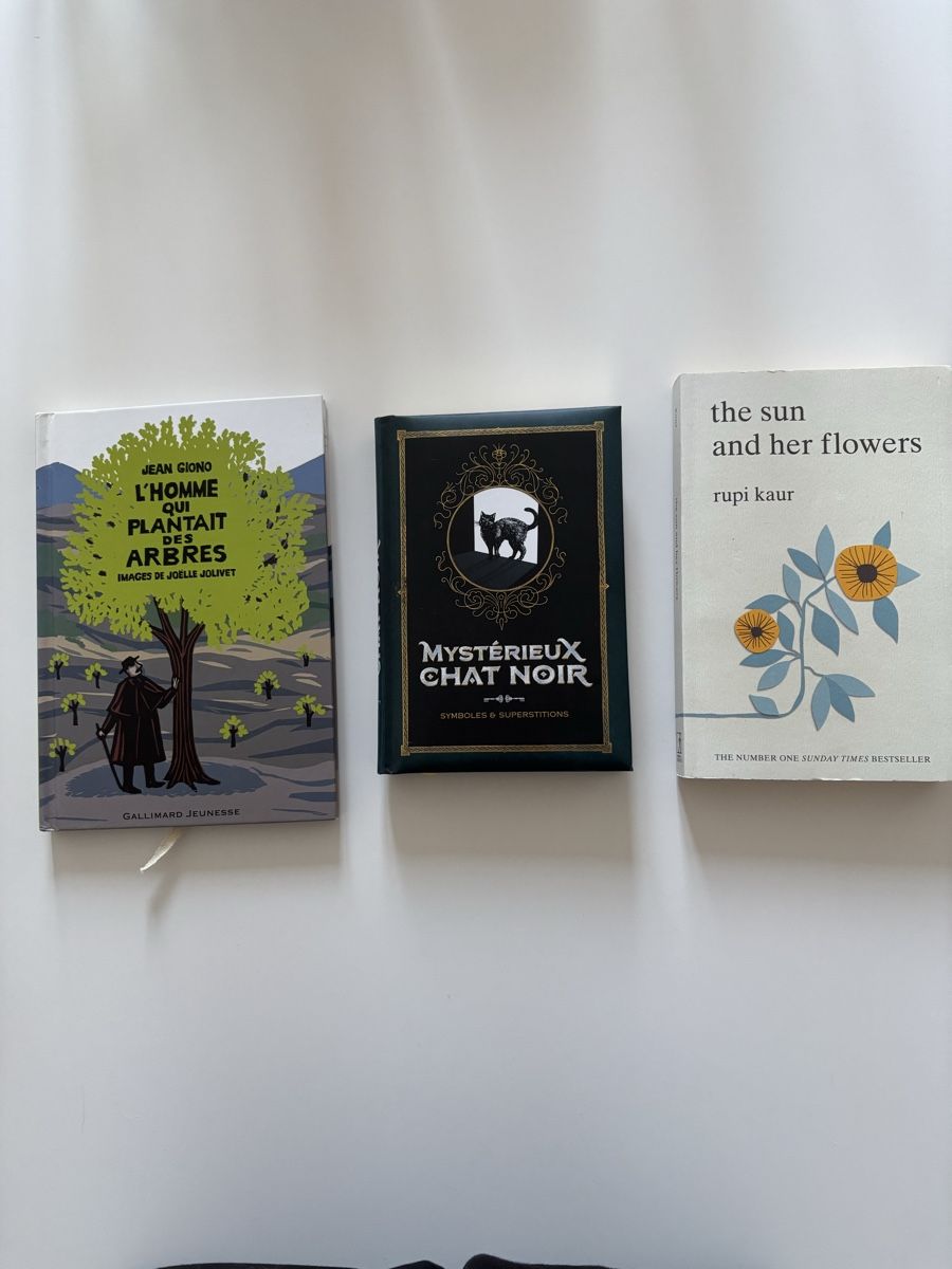 Libri: Pack de livres – Usato da La Chaux-de-Fonds venduto da DANIELA19961996