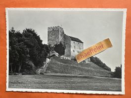 Habsburg Aargau , Schloss Aussicht historisch