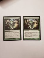 Magic the Gatherin 2x Exploration