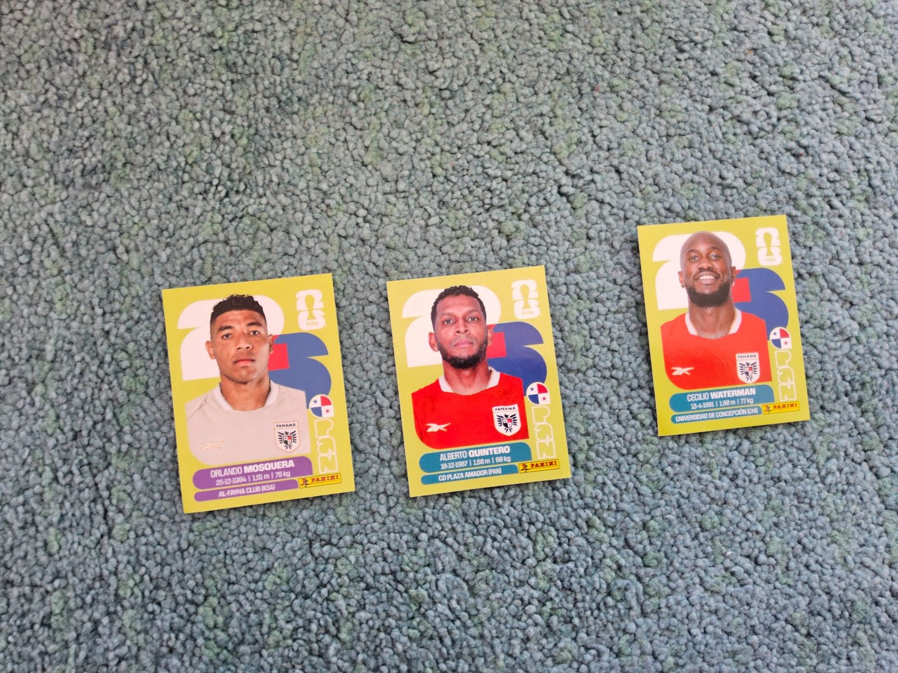 Panini Sammelbilder & Trading cards: Panini 2026 PAN 2/18/20 – Neu (gemäss Beschreibung) aus Freudwil von freny24