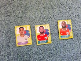 Panini 2026 PAN 2/18/20