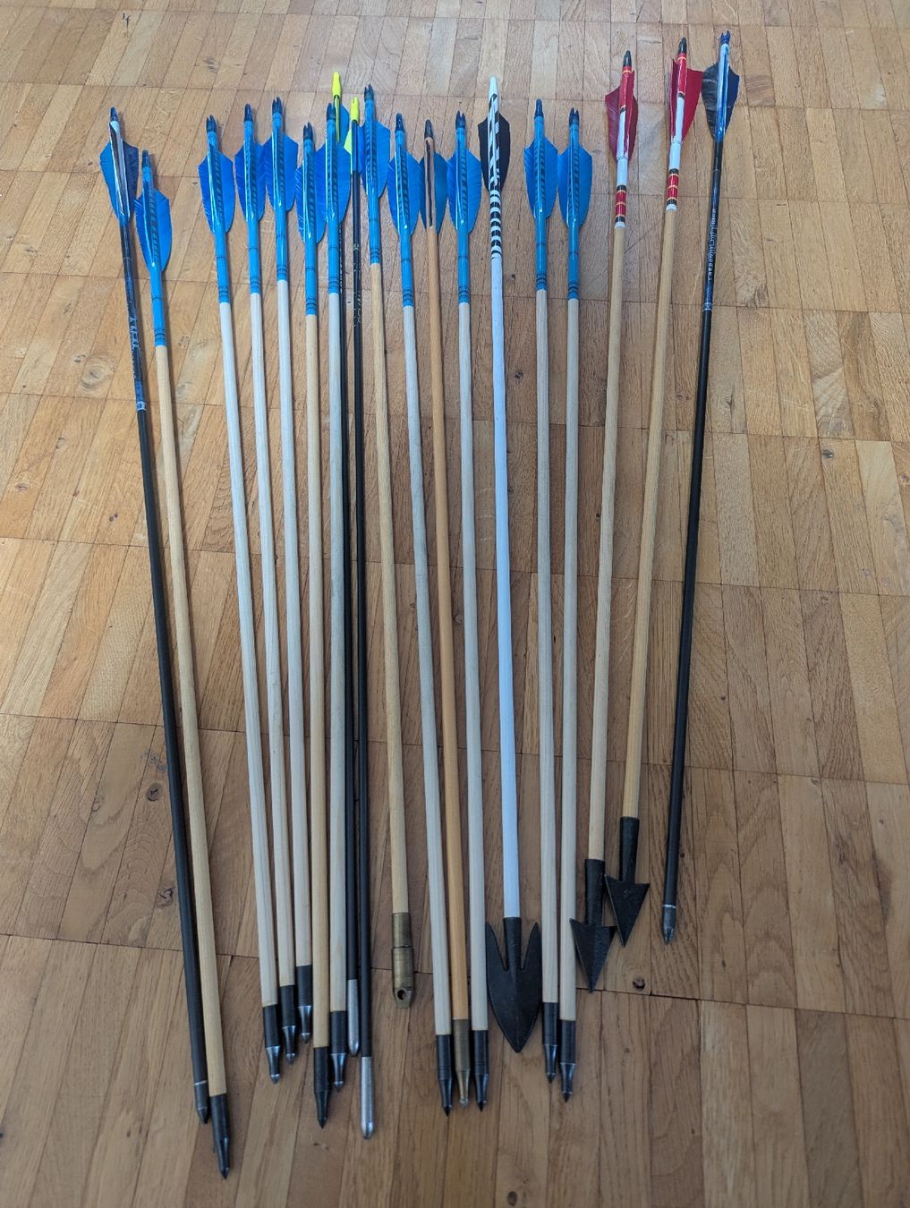 Tiro con l'arco: Langbogen 64" Griffon GL 30# Border Archery Scottland – Usato da Sursee venduto da Gensi1450 5