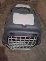 Lot de 4 articles pour votre chat