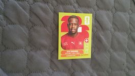 Panini Sticker WM 2026 - SUI 10