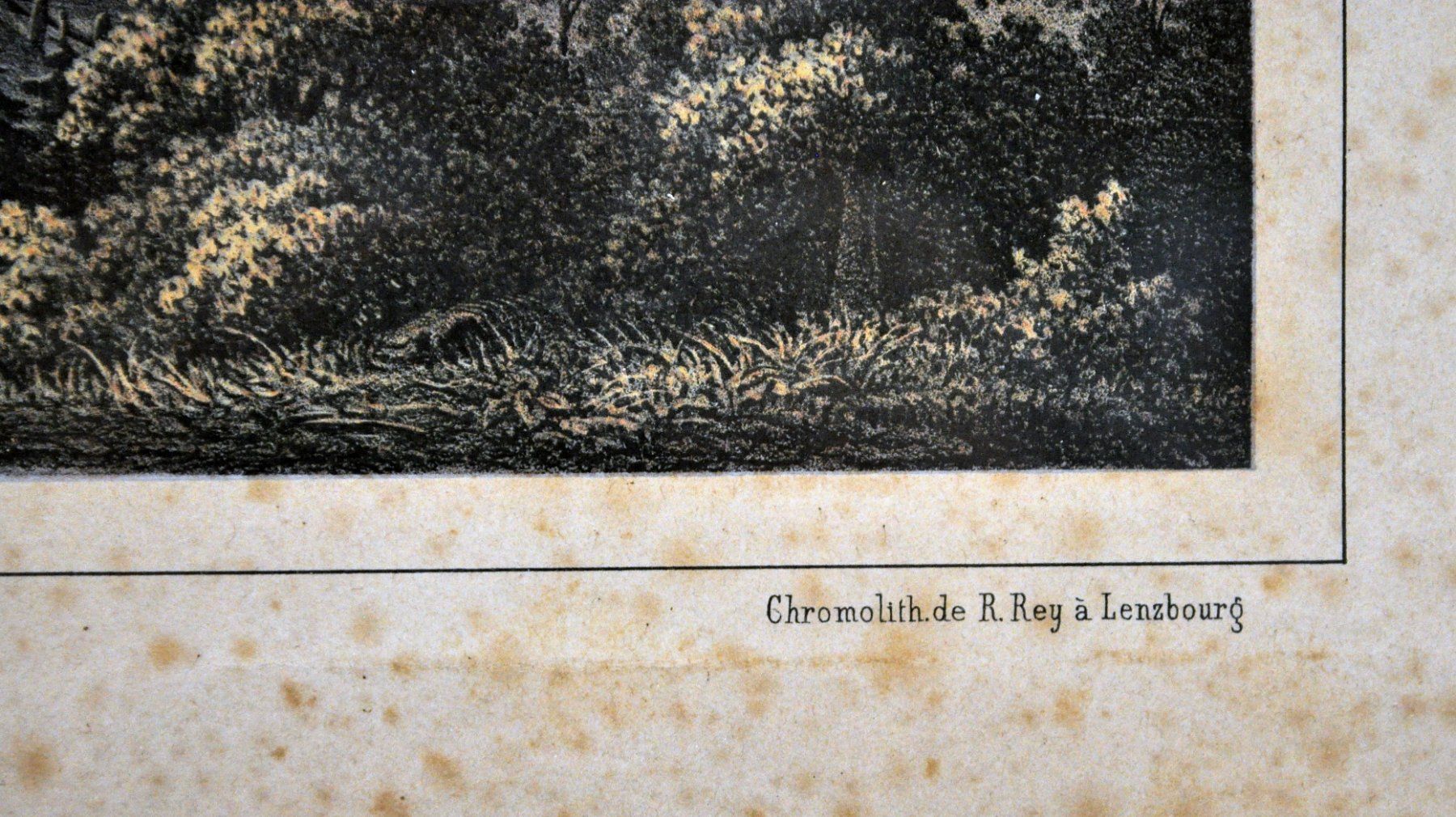 Stiche: Gravure "Fleurier" – Gebraucht aus Neuchâtel von Neuchatel 4