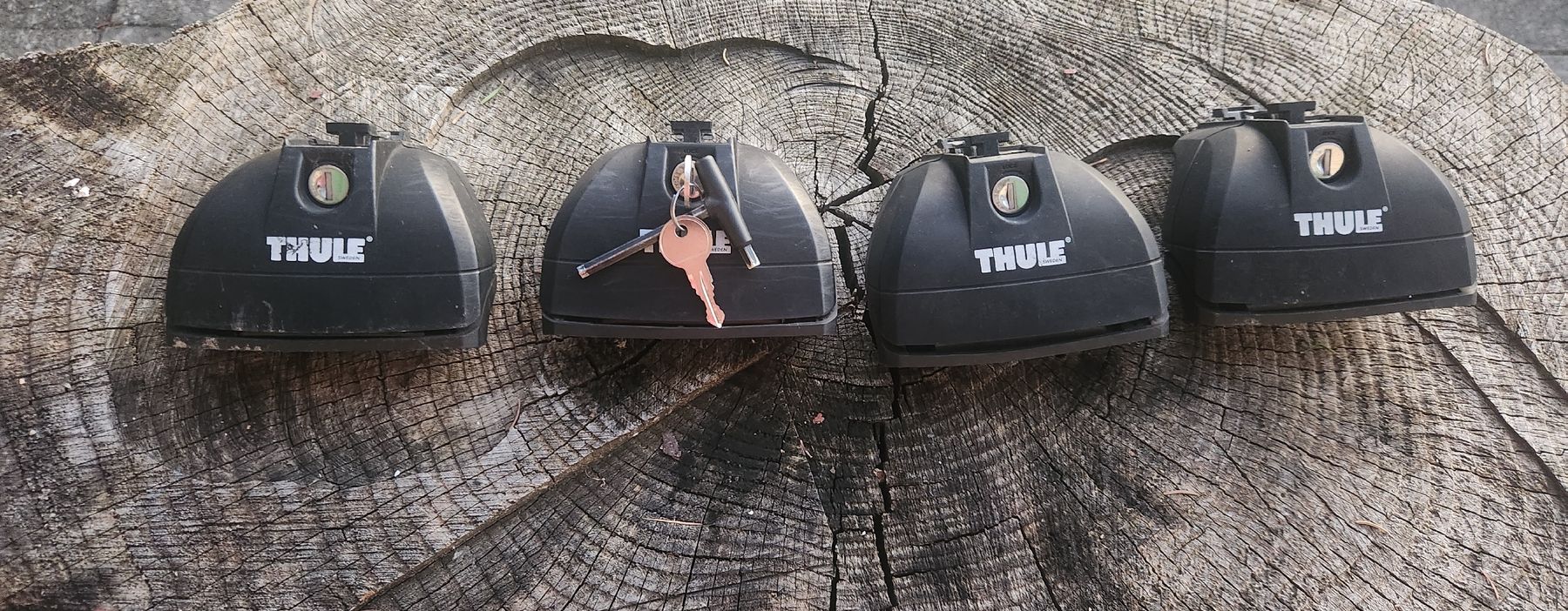 Thule Portapacchi: Thule Rapid System 753 – Usato da Diepoldsau venduto da Callfire