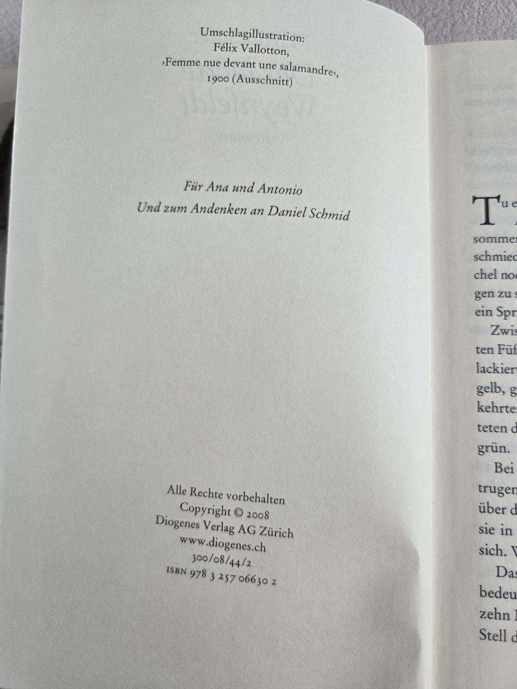 Libri: Martin Suter - Der letzte Weynfeldt – Usato da Bergdietikon venduto da Tanne_10 3