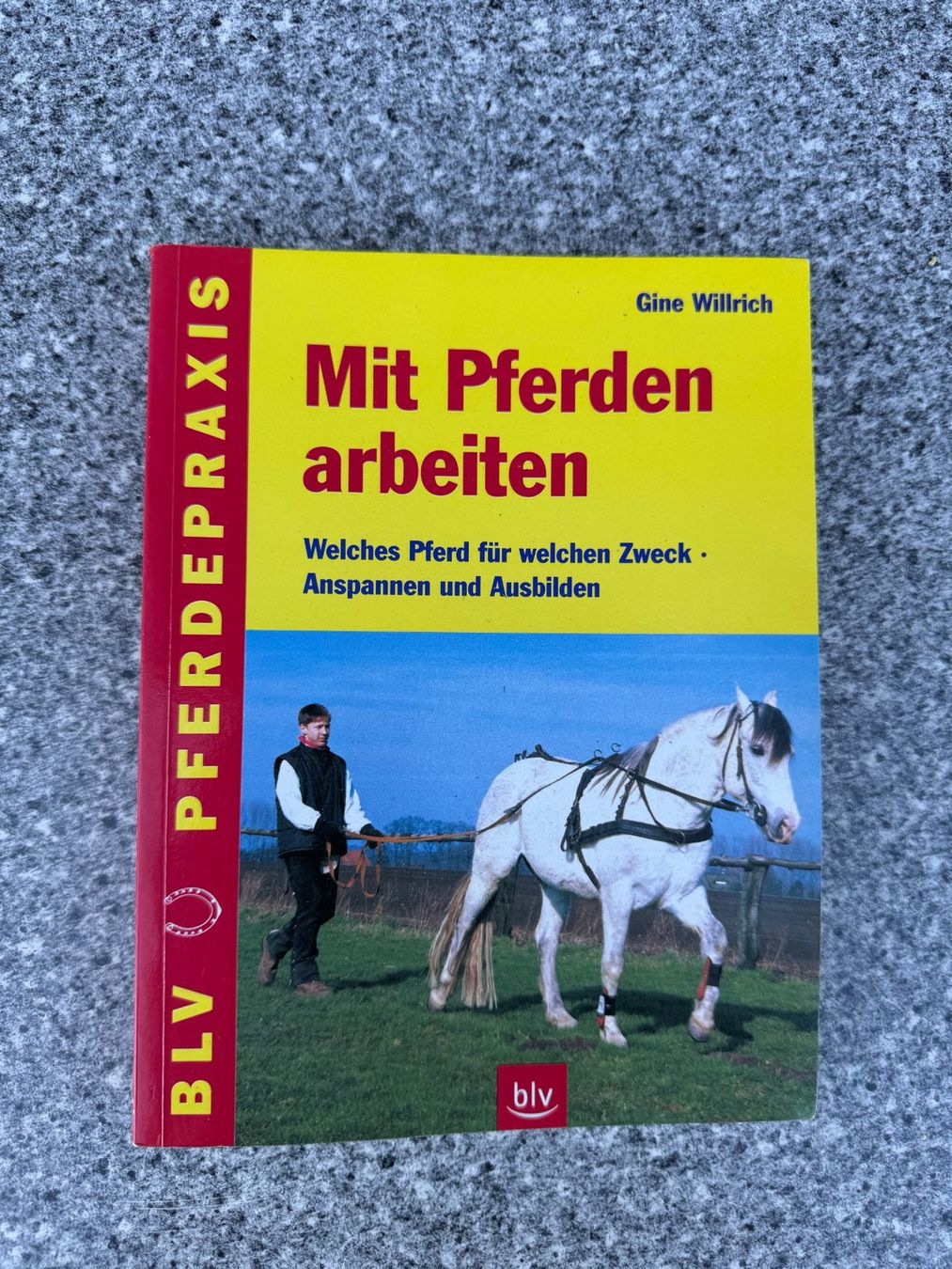 Calèches: Elegante Sawa Kutsche (ein- oder zweispannig) – D'occasion à Bühler par Kobima 7