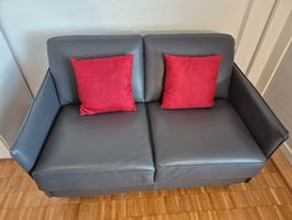 Hochwertiges Design-Sofa, 2-Sitzer, Echt Leder, neuwertig