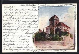 AK Frauenfeld, am Schloss, 1899