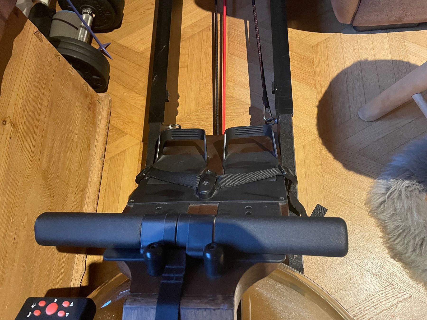 Bodyswiss Hometrainer: Rudergerät Bodyswiss – Usato da Trimmis venduto da tartarughi1 4