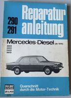 Auto Reparaturanleitung 290/291