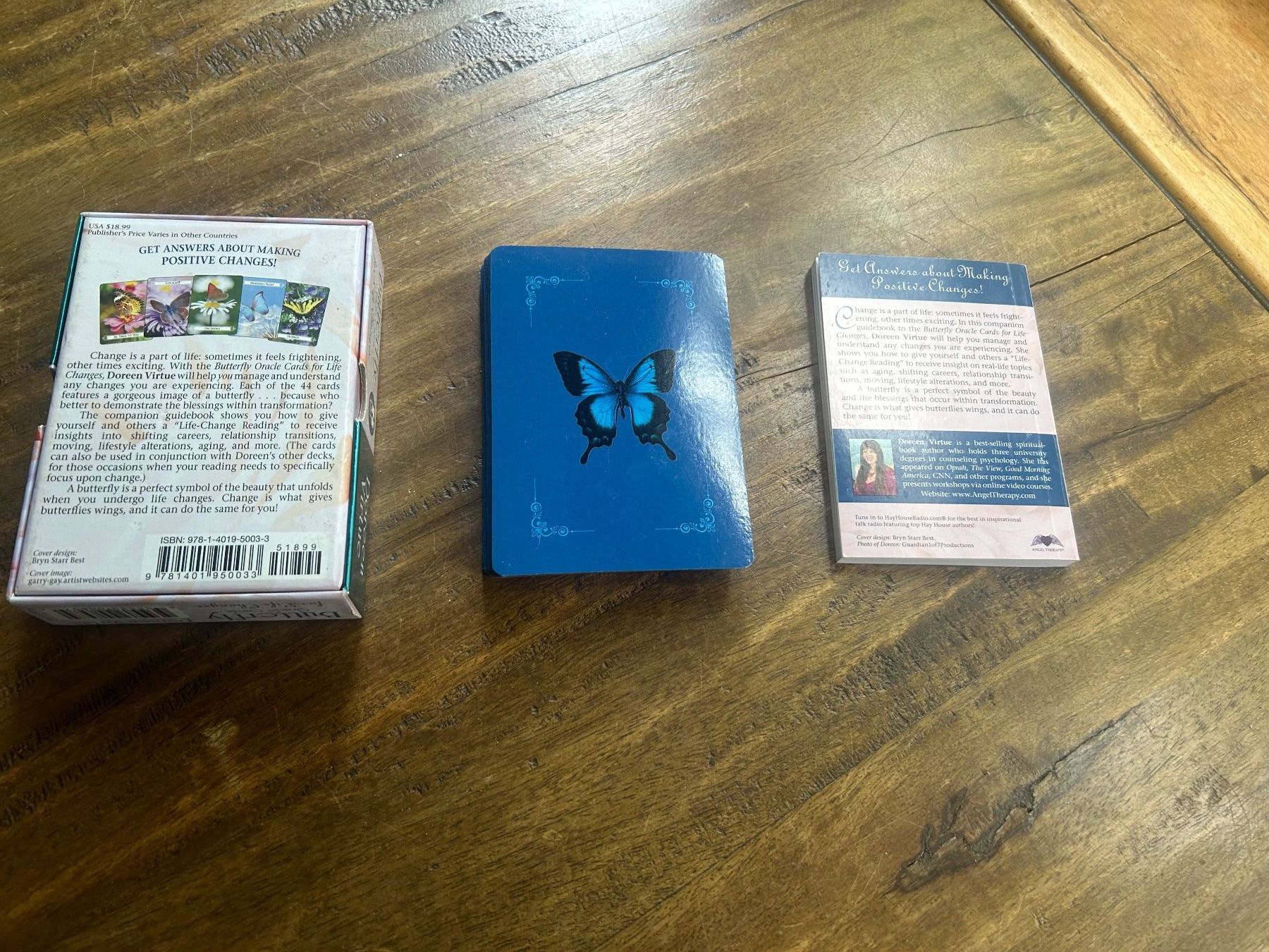 Libri: Büchlein + Karten Butterfly & Moonology – Nuovo (secondo la descrizione) da Schaffhausen venduto da amwr 8