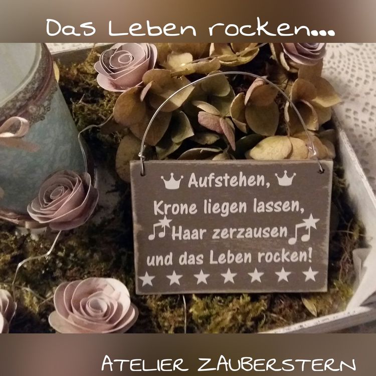 Mini Holzschild Das Leben rocken Kaufen auf Ricardo