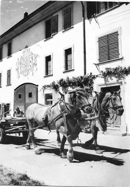 Cartoline postali: Neunkirch Bauernhof mit Pferdewagen – Usato da Olten venduto da clotaldi