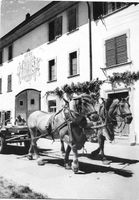 Neunkirch Bauernhof mit Pferdewagen