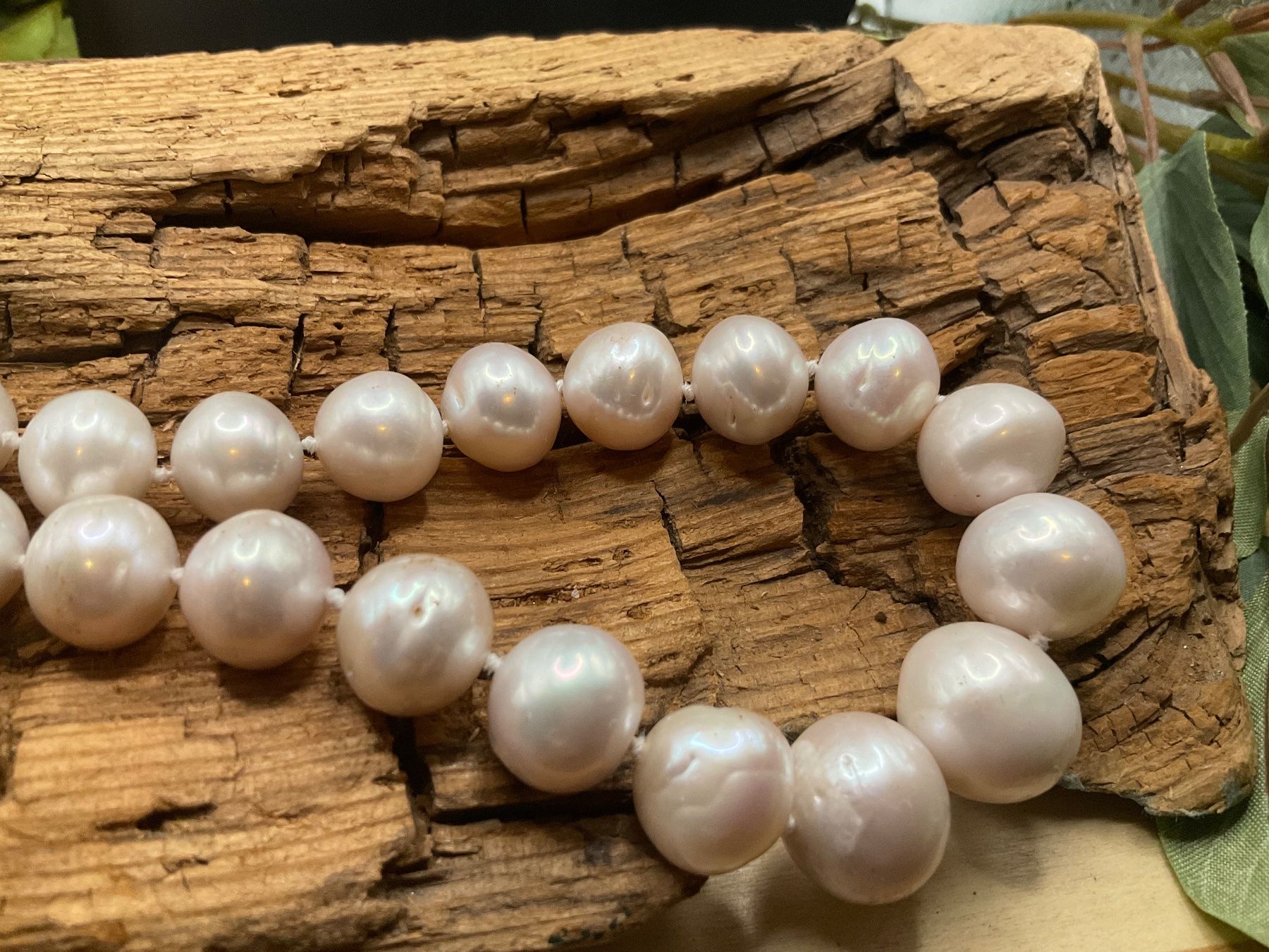 Catenine: Collier mit sehr grossen echten Perlen – Nuovo (secondo la descrizione) da luzern venduto da Alpendorf1 4
