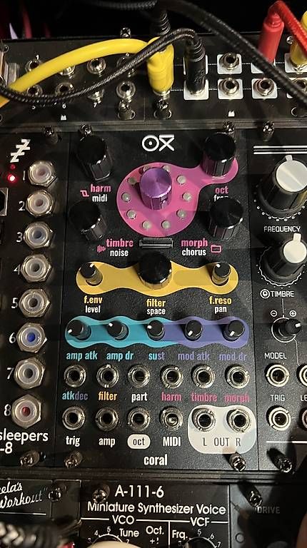 Strumenti musicali: OXI Coral (full synth eurorack module) – Usato da Teufen AR venduto da Seantyas