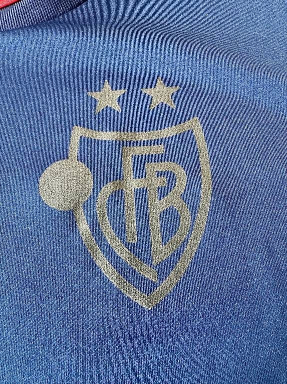 Adidas T-shirt: FC Basel Trainingsshirt in L – Usato da Basel venduto da thmnn 3