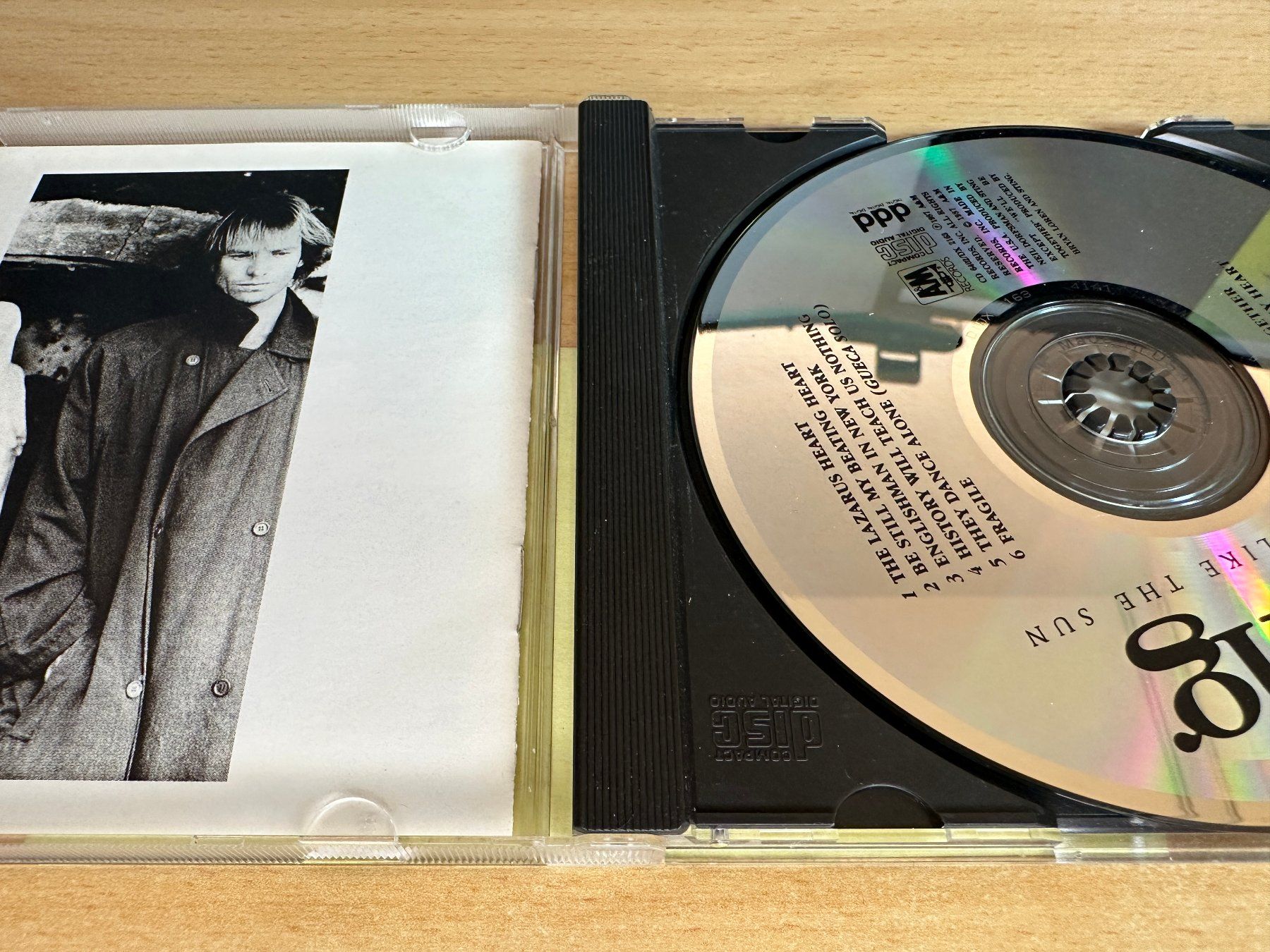 CD: Sting – ...Nothing Like The Sun – Usato da Rikon im Tösstal venduto da Alpenmutz 2