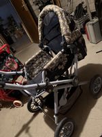 Puppenwagen mit Schildkrötenmotiv gebraucht