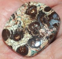 Cabochon L-5582 – Krokodil Jaspis 31x26mm