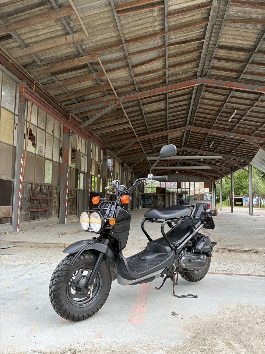 Honda Scooters: Honda NPS 50 Zoomer "Ruckus" – Gebraucht aus Muttenz von Jordan4127