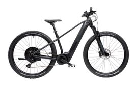 E-Bike LEONARDO E-MTB PEAK 2.0, inkl.Speedbox für 35-40 km/h
