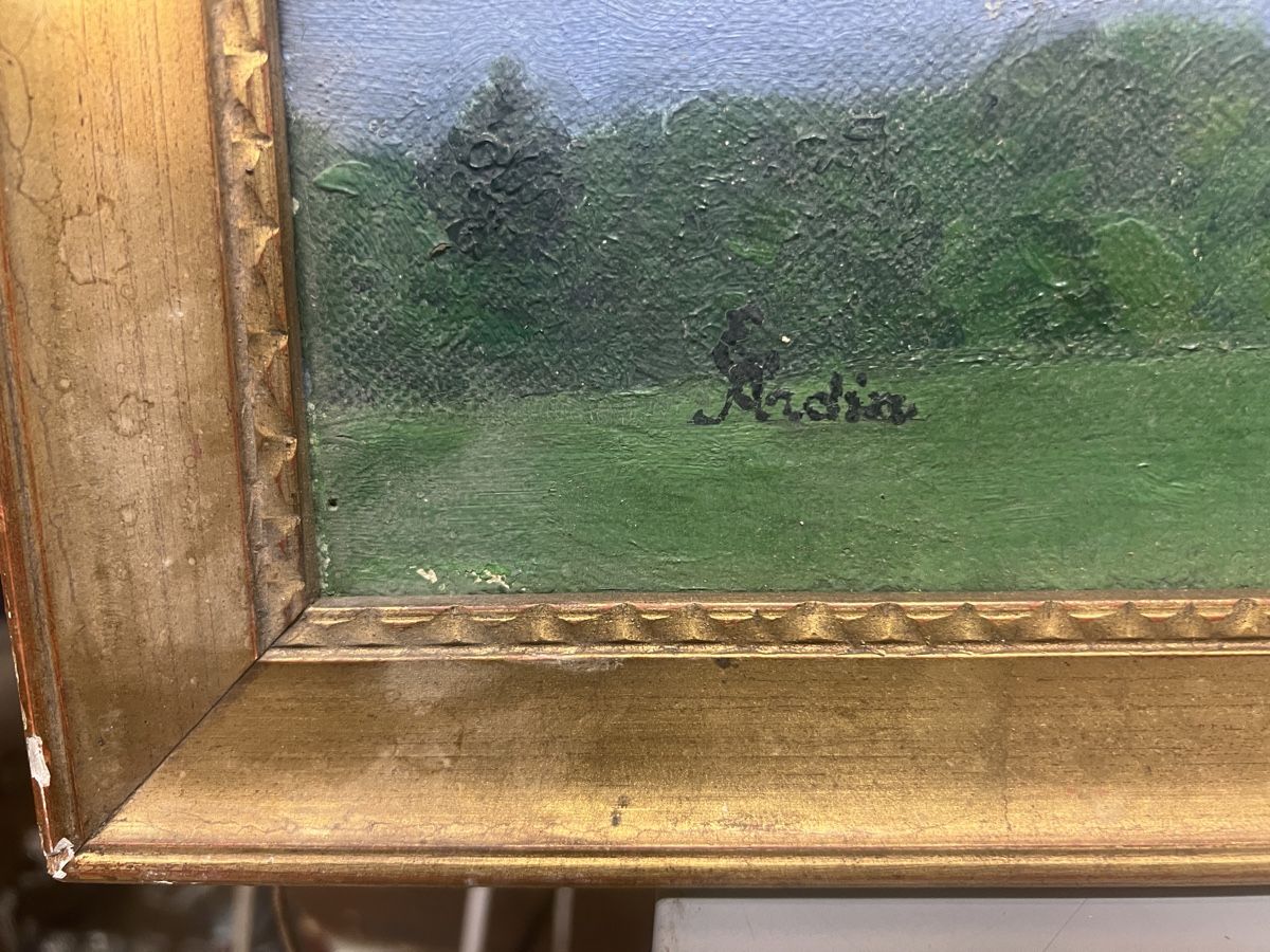 Dipinti: HUILE SUR TOILE ANCIENNE SIGNÉE ILLISIBLE ???? – Usato da Genève venduto da Qanil77 2