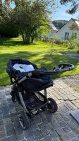 Kinderwagen Teutonia