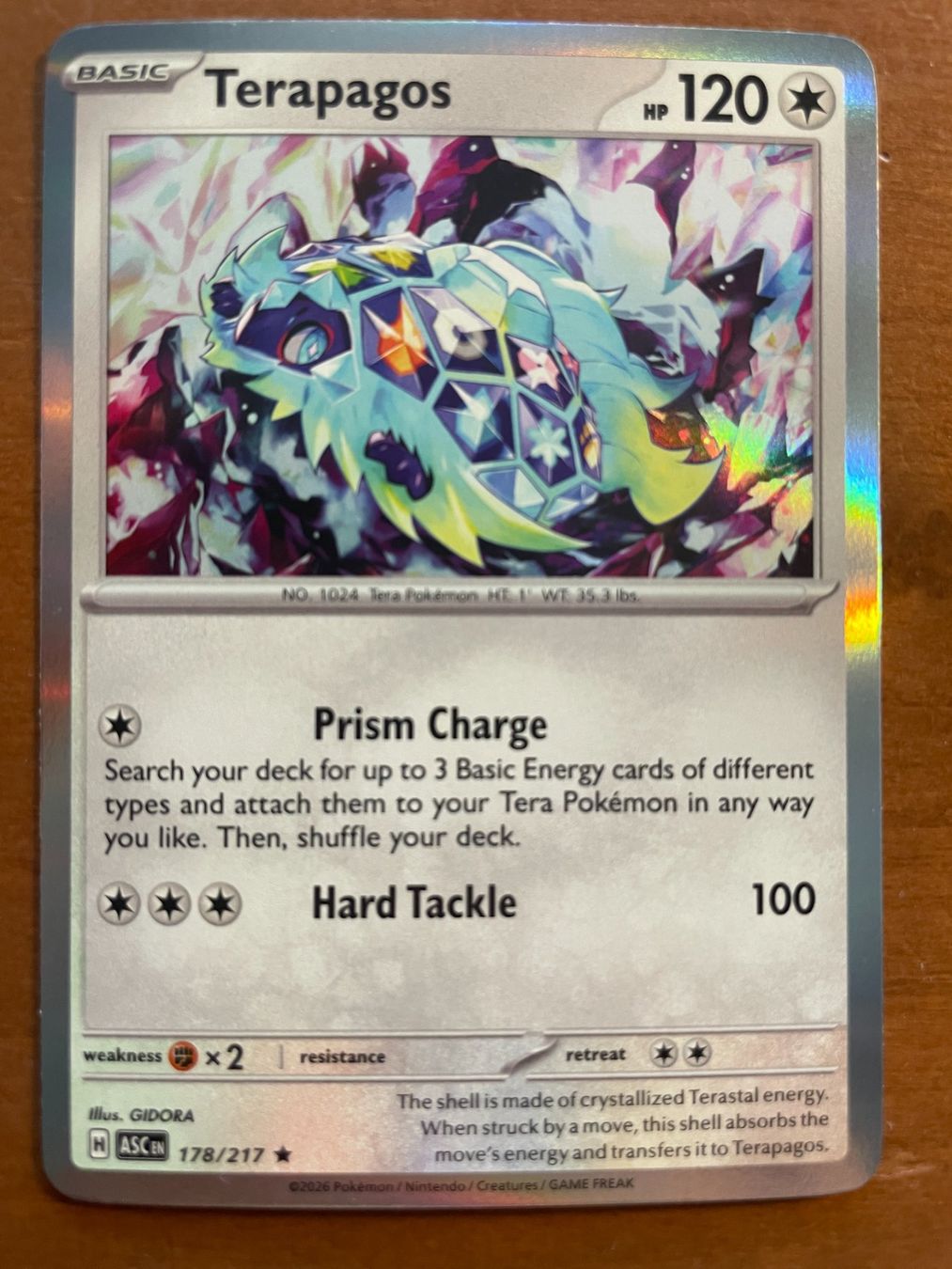 Pokémon Carte collezionabili: Pokemon Terapagos Holo (Versand gratis) – Nuovo (secondo la descrizione) da Chur venduto da Angerson