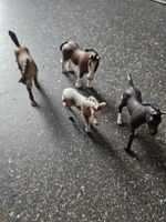 Schleich Fohlen Set 4 Pferde Figuren