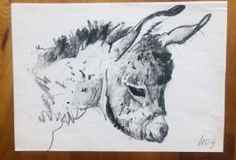 Charles Hug, Zeichnung Eseli, Bleistift, signiert, A4
