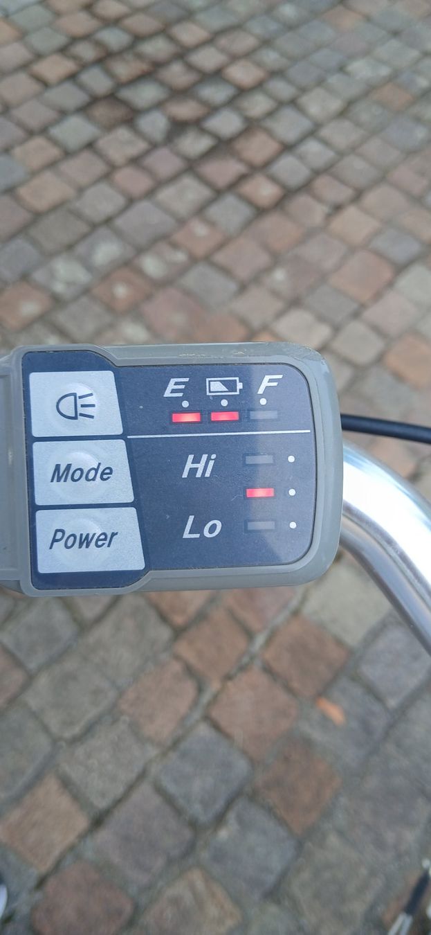 Flyer Biciclette: Flyer E-Bike 25km/h mit Korb – Usato da Schinznach-Bad venduto da bmw1802 3