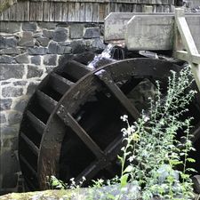 Profile image of scapha26