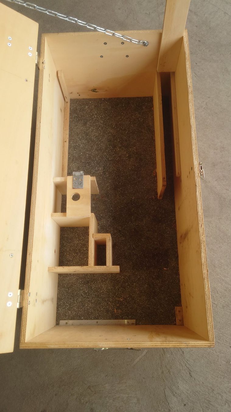 Casse di trasporto: Holzerkiste, Holzkiste, Forst – Usato da Ried b. Kerzers venduto da Inox67 3