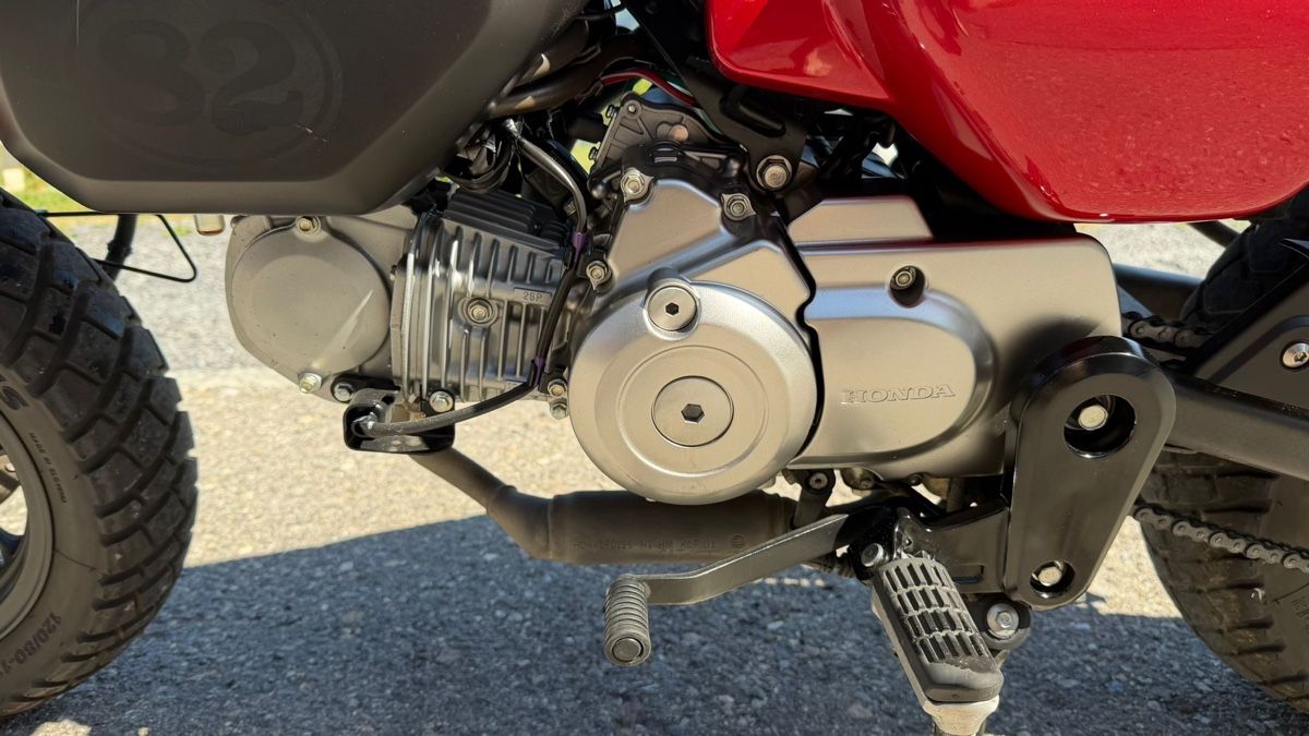 Honda Strasse: Honda Monkey – Gebraucht aus Filzbach von flowerpower14 4