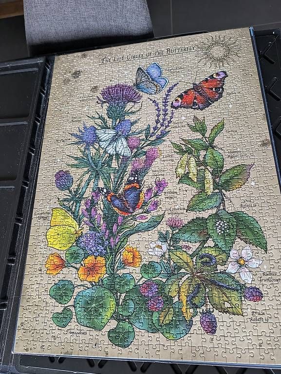 Ravensburger Puzzle: Ravensburger Puzzle 1000 Teile – Nuovo (secondo la descrizione) da Konolfingen venduto da Honey870 1