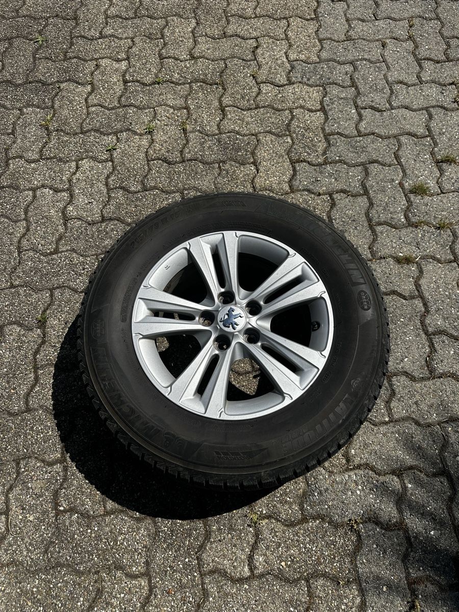 Peugeot Cerchioni: 4 Peugeot Felgen – Usato da Sarmenstorf venduto da SamiraB.