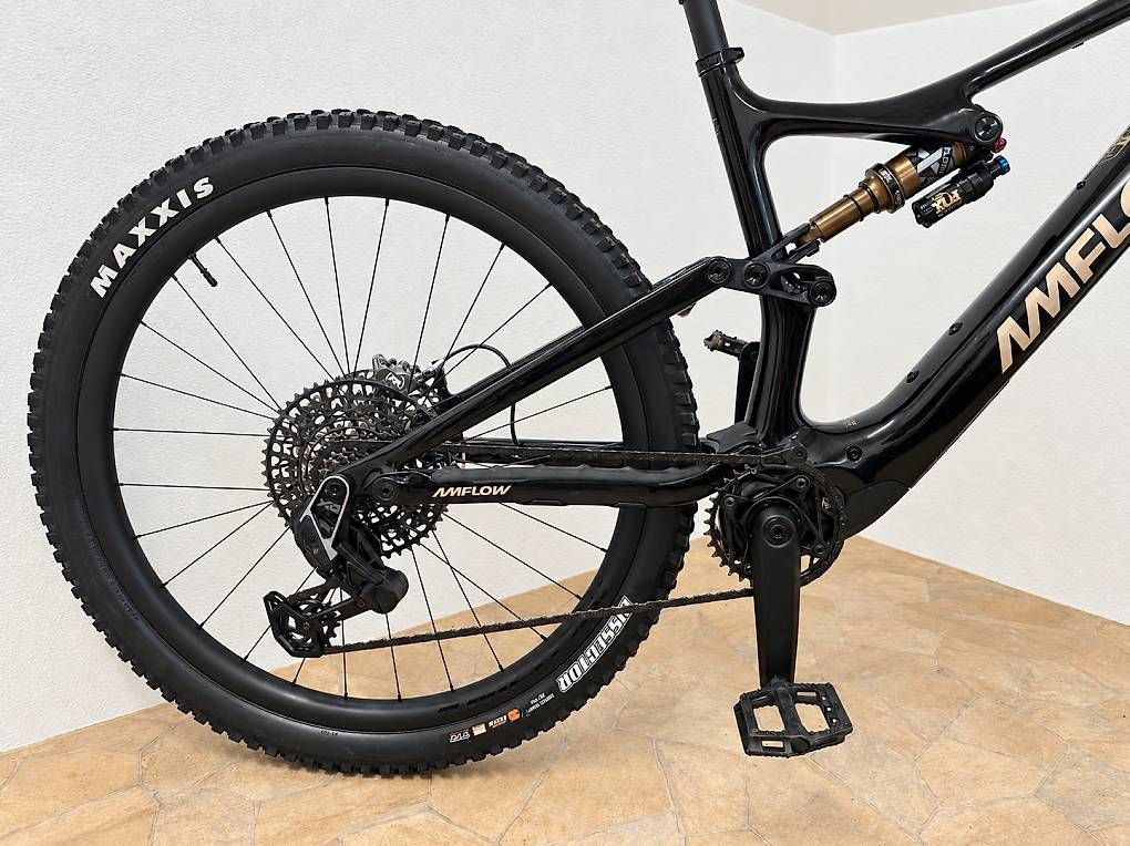 Biciclette: Amflow PL Carbon Pro Neuwertig – Usato da Wallisellen venduto da vs92 3