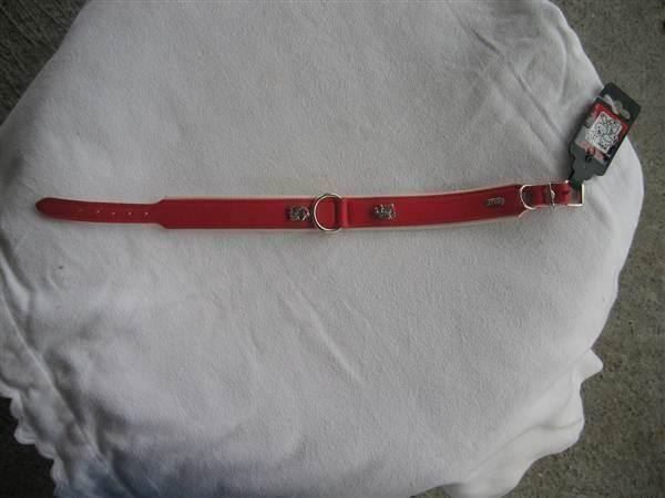 Guinzagli & Collari: Halsband m. Afghanen - Dekor 45 cm rot – Nuovo (secondo la descrizione) da Schübelbach venduto da Bemafaja