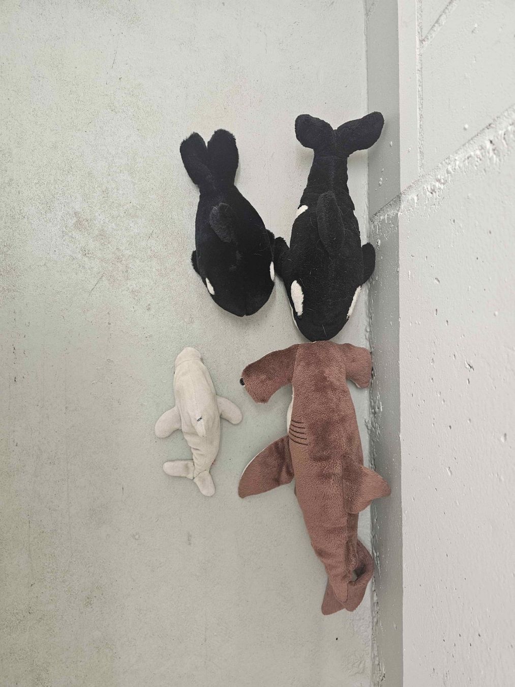 Spielzeuge: Plüschtier Tiere gemischt – Gebraucht aus Oberuzwil von ItzSenju_ 2