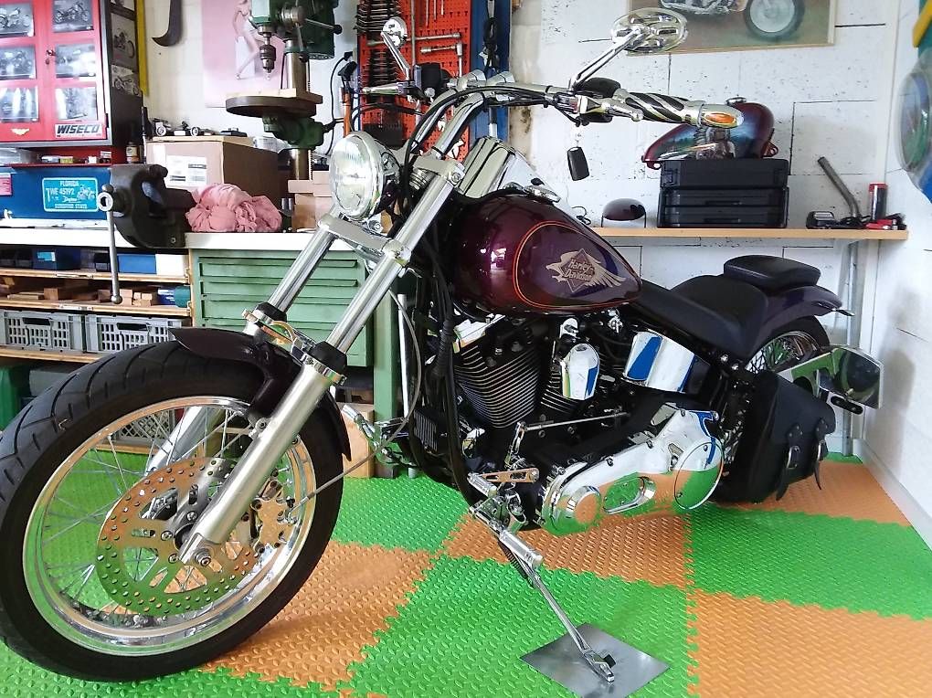 Harley-Davidson Altro: Harley Davidson FXSTC Softail EVO – Usato da Oberried Brienz venduto da kurs57 1