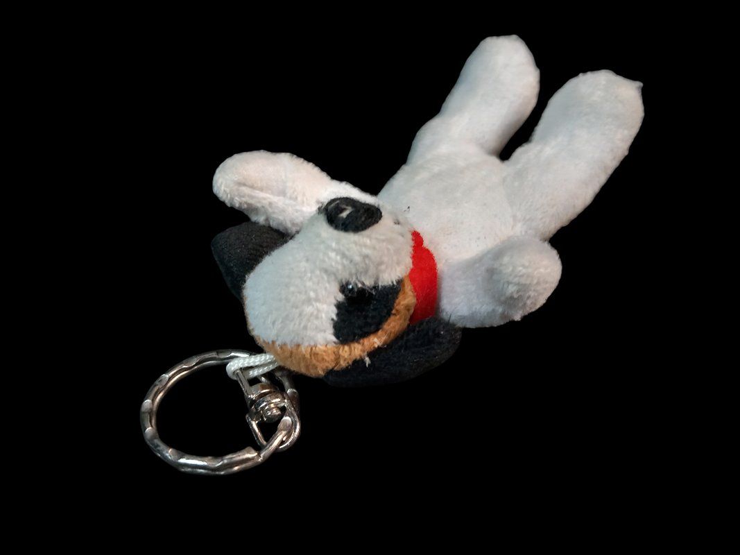 Schlüsselanhänger & - bänder: Schlüsselanhänger, 2er Set – Gebraucht aus Hünenberg von Restwert_Zug 2