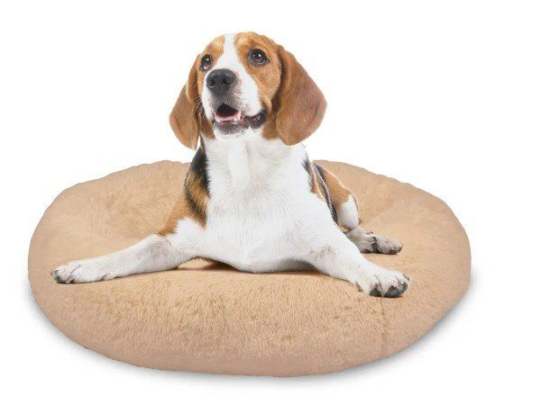 Cucce & Letti: Peaceful Pooch Luxus-Hundebett Grösse S – Nuovo e nell'imballaggio originale da Bassersdorf venduto da COOL-AG