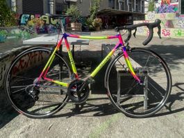 Celiano Traum Rennrad komplett Ultegra